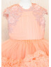 Salmon Ruffle Tulle Lace Appliques Flower Girl Dress